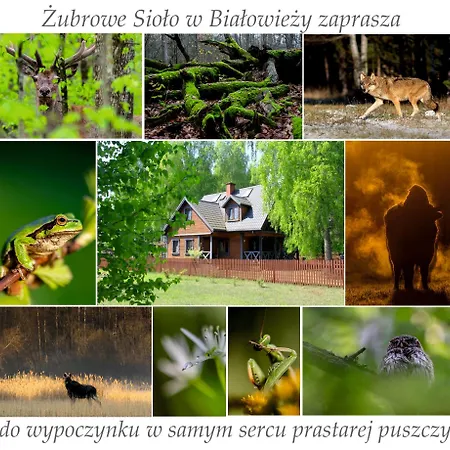 Jasinskiego Z Ogrodem Διαμέρισμα *