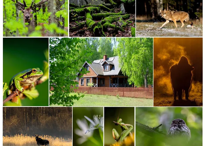 Jasinskiego Z Ogrodem Apartment *