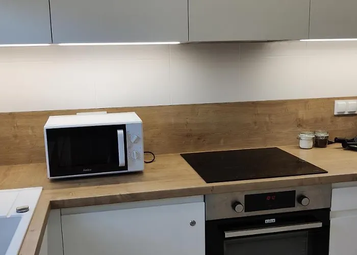 Apartment Jasinskiego Z Ogrodem *